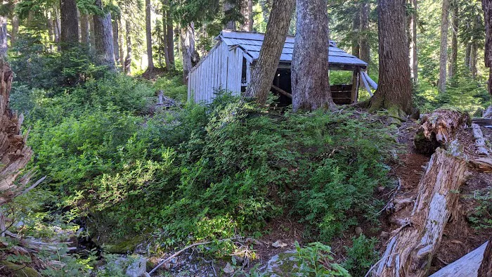 Camp Siberia Picture 9