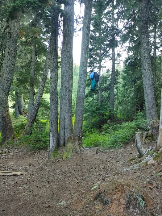Camp Siberia Picture 8