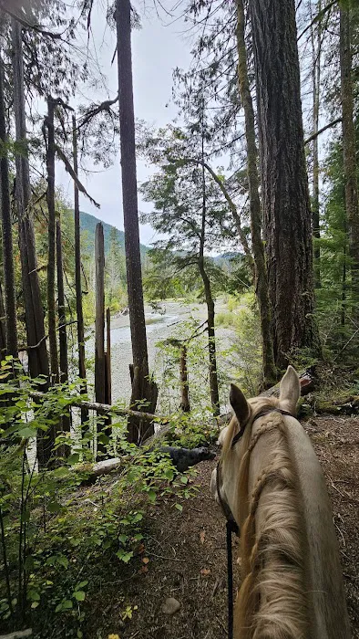 Lebar Horse Camp Picture 4