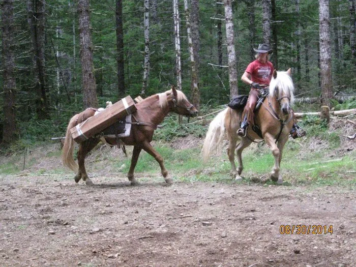 Lebar Horse Camp Picture 10