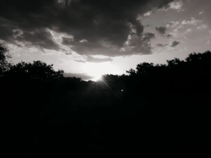 Devine RV Park Picture 7