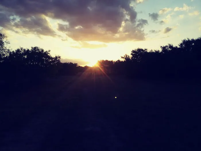 Devine RV Park Picture 8