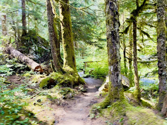 Enchanted Valley Picture 1