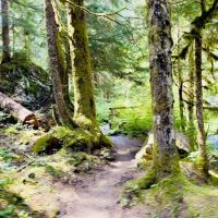 Enchanted Valley ico