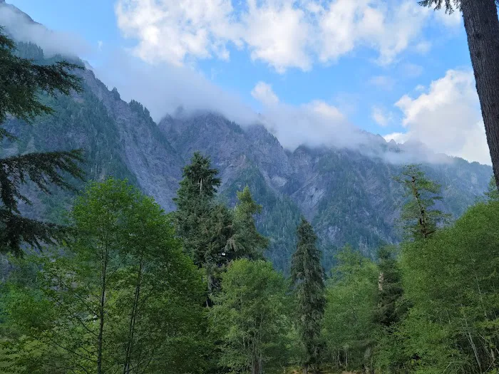 Enchanted Valley Picture 2