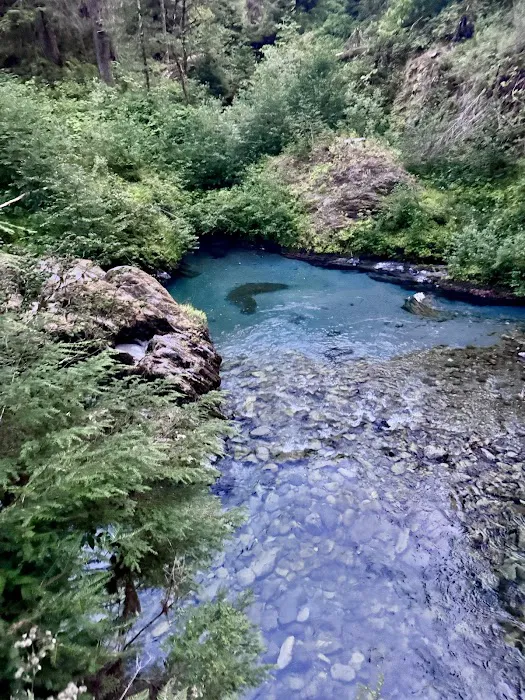 Enchanted Valley Picture 5