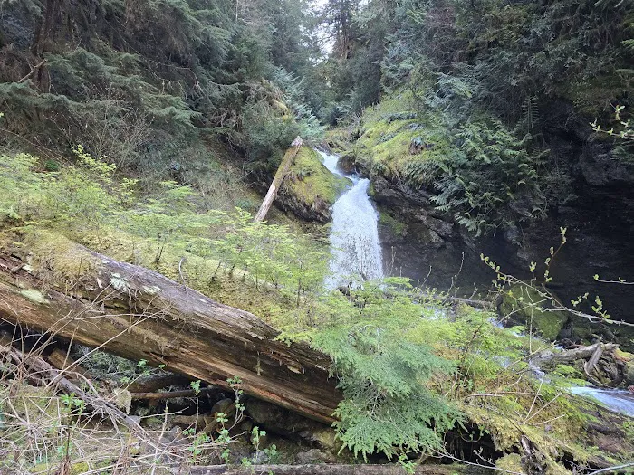 Enchanted Valley Picture 8