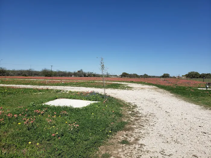 Wildflower RV Park Picture 1