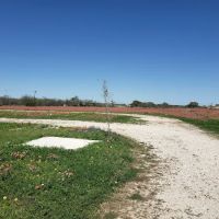 Wildflower RV Park ico