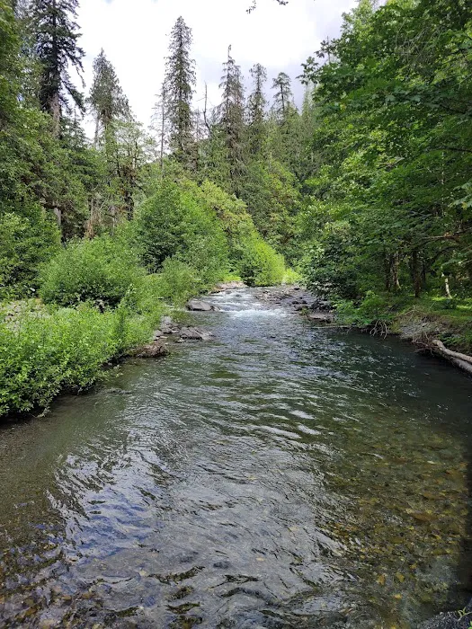 Camp Pleasant Picture 1