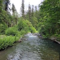 Camp Pleasant ico