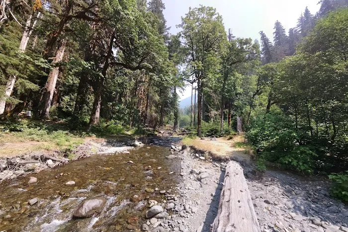 Camp Pleasant Picture 3