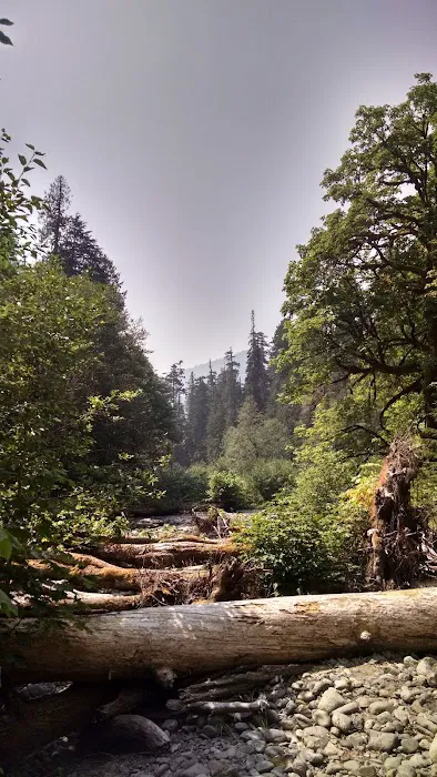 Camp Pleasant Picture 6