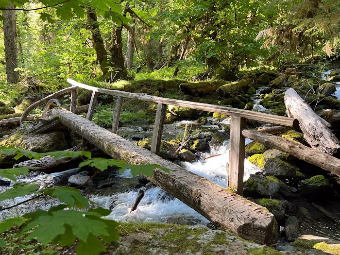 Pyrites Creek Picture 4