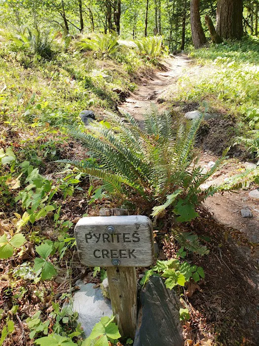 Pyrites Creek Picture 6