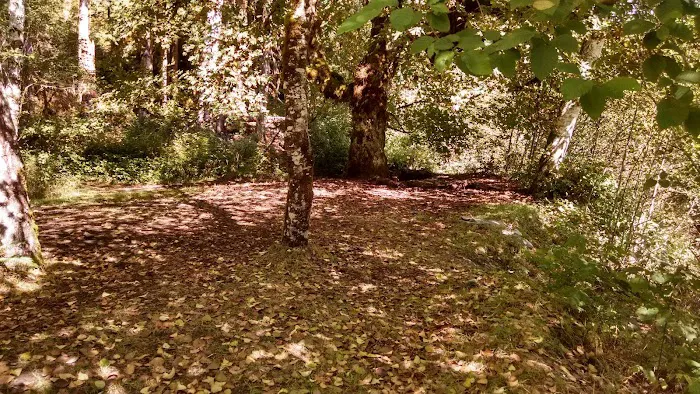 O' Neil Creek Picture 2