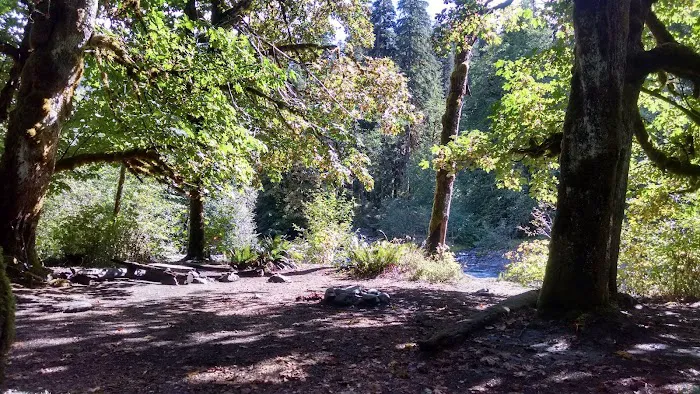 O' Neil Creek Picture 1