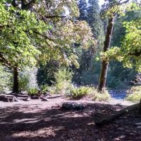 O' Neil Creek ico