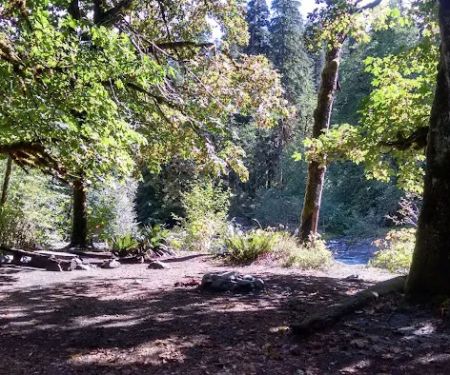 O' Neil Creek