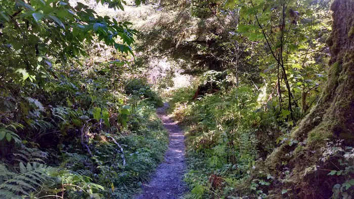 O' Neil Creek Picture 6