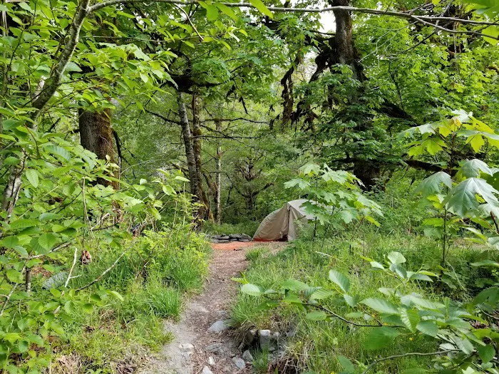 O' Neil Creek Picture 5
