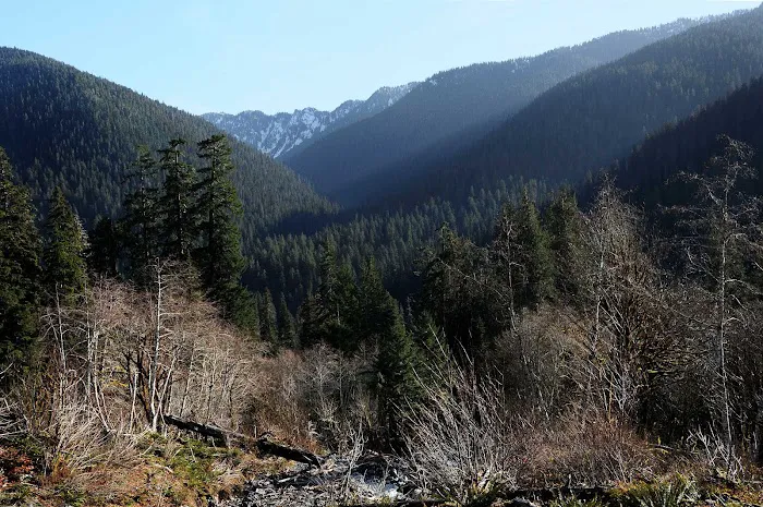 O' Neil Creek Picture 7