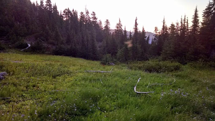 Belview Picture 2