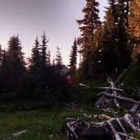 Belview ico