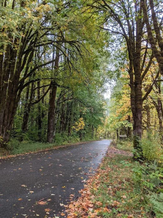 Brown Creek Campground Picture 6