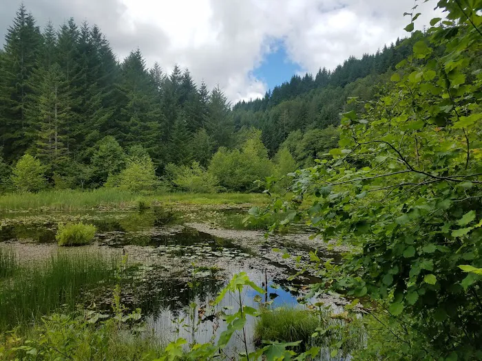 Brown Creek Campground Picture 7