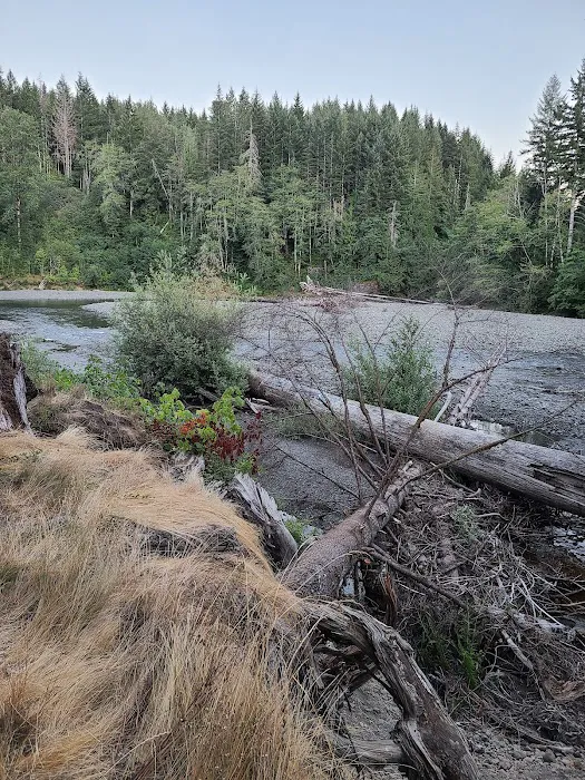 Brown Creek Campground Picture 9