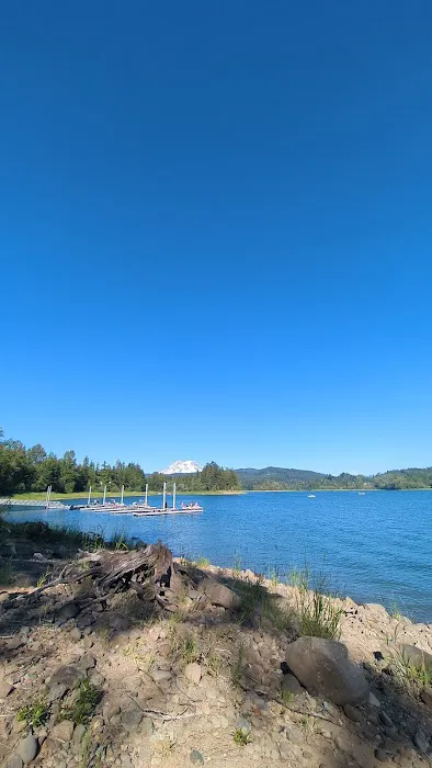 Alder Lake Campground Picture 6
