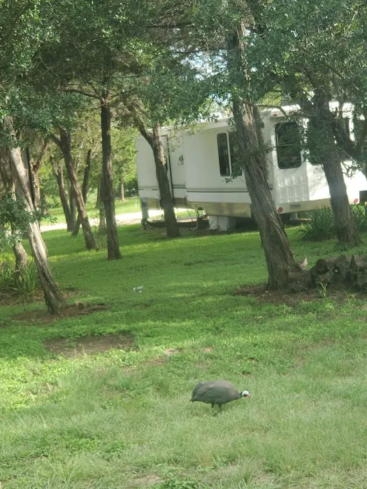 Cowboy Capital RV Park Picture 3