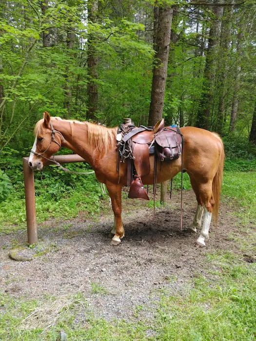 Sahara Creek DNR Horse Camp Picture 3