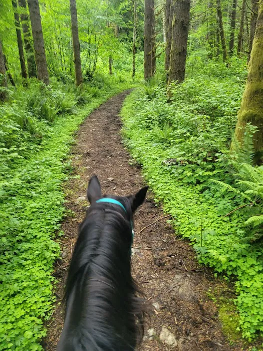Sahara Creek DNR Horse Camp Picture 1