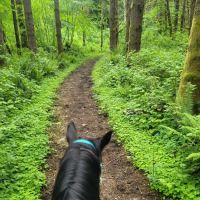 Sahara Creek DNR Horse Camp ico