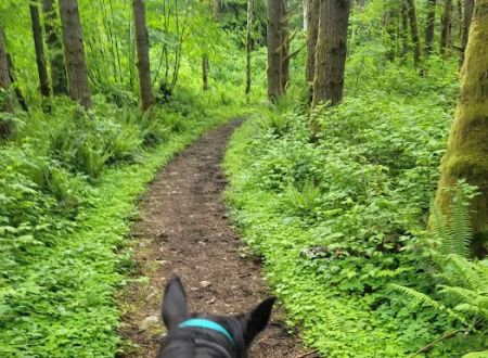 Sahara Creek DNR Horse Camp
