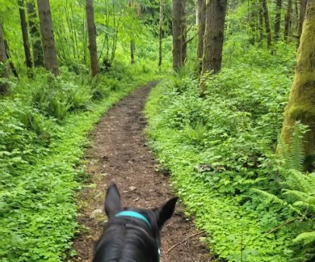 Sahara Creek DNR Horse Camp