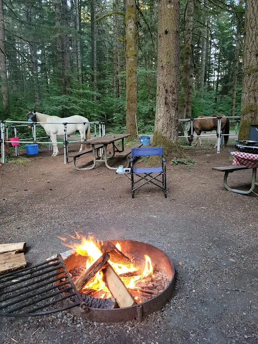Sahara Creek DNR Horse Camp Picture 4