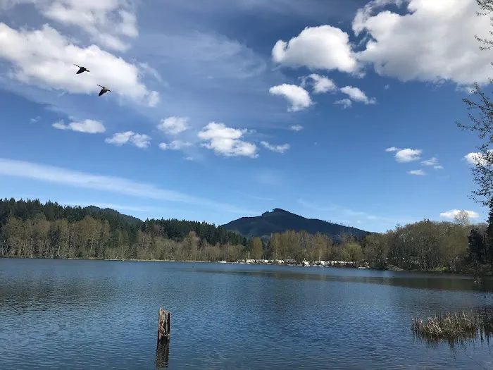 Mineral Lake Lions Den Campground Picture 6