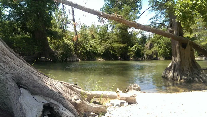 Guadalupe River RV Park & Campgrounds Picture 6