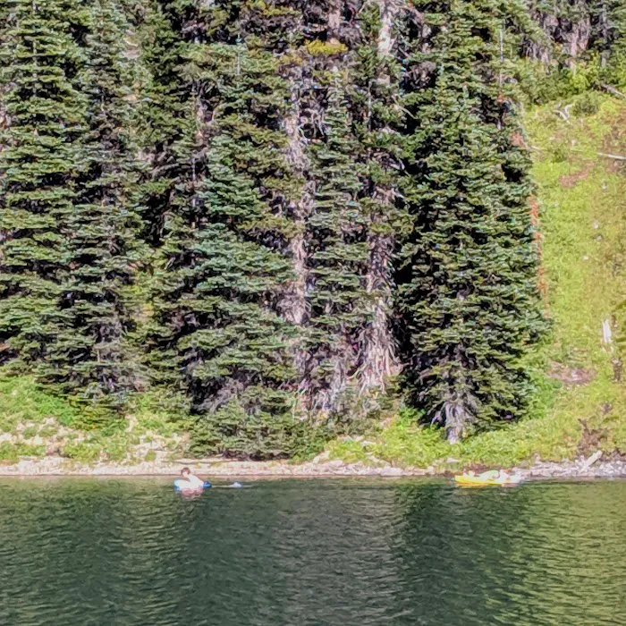 Moose Lake Lower Picture 1