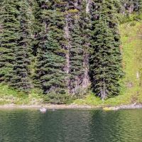 Moose Lake Lower ico