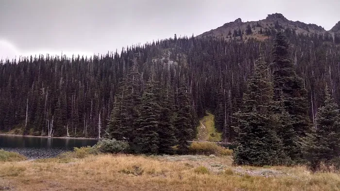 Moose Lake Lower Picture 5