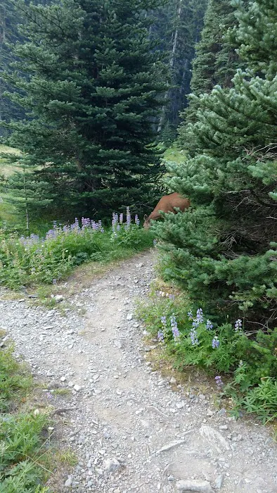 Grand Lake Picture 8