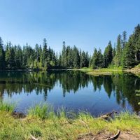 Golden Lakes Camp ico