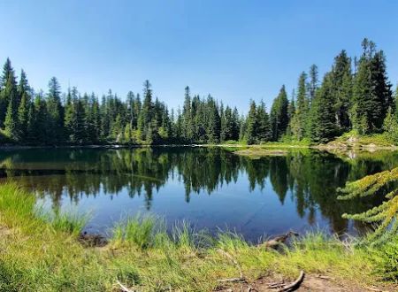 Golden Lakes Camp