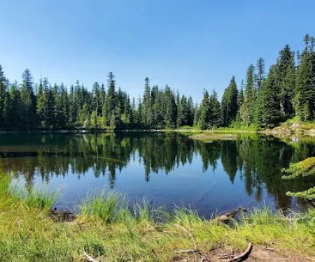 Golden Lakes Camp