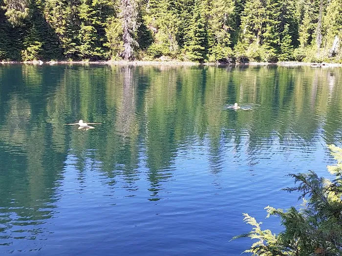 Golden Lakes Camp Picture 2