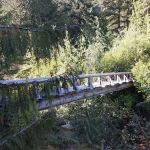 North Puyallup River Camp